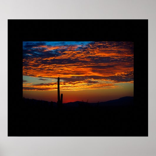 Cactus Sunset Poster (Voorkant)