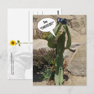 Cactus-toerist, zeg CHEEESE - ansichtkaart Briefkaart