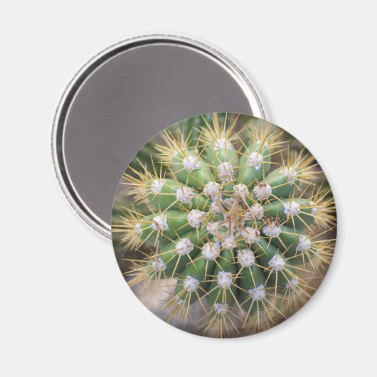 Cactus top magneet (Voorkant / Achterkant)