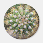 Cactus top magneet (Voorkant)