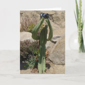 Cactus Tourist - carte (Devant)