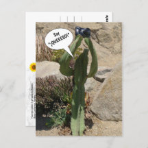 Cactus Tourist, say QUEEESO - briefkaart