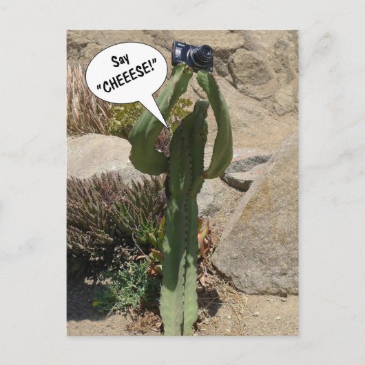 Cactus Tourist, Zeg CHEEESE - briefkaart (Voorkant)