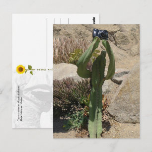Cactus Touriste - Carte postale