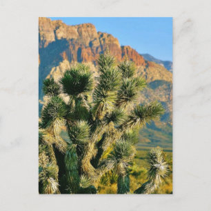 Cactus Tree Briefkaart