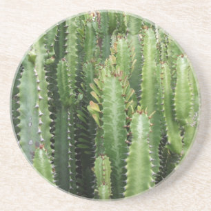 Cactus Tuin Zandsteen Onderzetter