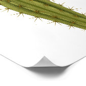 Cactus — uithoudingsvermogen poster (Hoek)