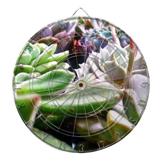 Cactus Variety Dartbord (Voorkant)