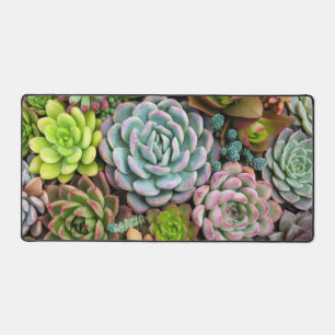 Cactus vetplanten bureaumat