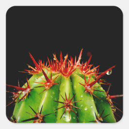 Cactus Vierkante Sticker