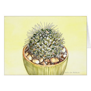 Cactus Waterverf van Debra Lee Baldwin