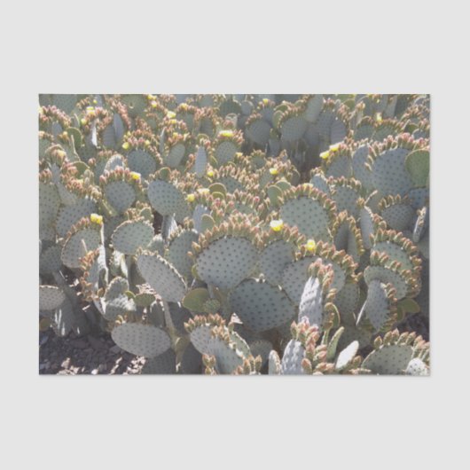 Cactus-weefselpapier Tissuepapier (Voorkant)