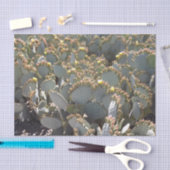 Cactus-weefselpapier Tissuepapier (Craft)