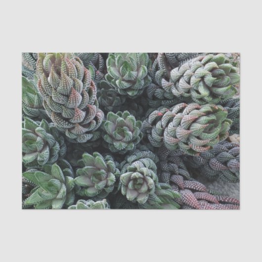 Cactus-weefselpapier Tissuepapier (Voorkant)