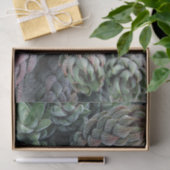Cactus-weefselpapier Tissuepapier (Geschenk)