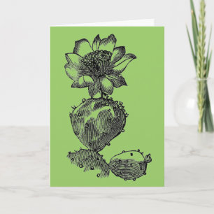 Cactus Wenskaart Kaart
