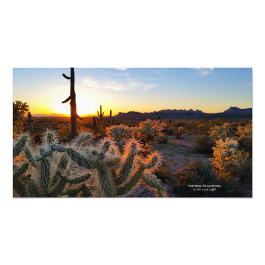 Cactus with Arizona sunset Superstiment Wilderness Foto Afdruk (Voorkant)