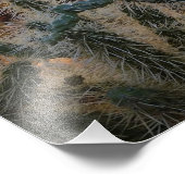 Cactus with Arizona sunset Superstiment Wilderness Foto Afdruk (Hoek)