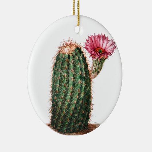 Cactus, woestijn, botanisch, illustratie keramisch ornament (Rechts)