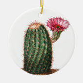 Cactus, woestijn, botanisch, illustratie keramisch ornament (Voorkant)