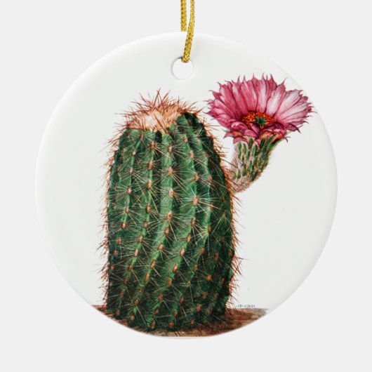 Cactus, woestijn,  botanisch, illustratie keramisch ornament (Voorkant)
