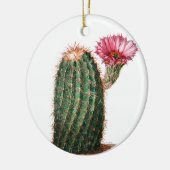 Cactus, woestijn,  botanisch, illustratie keramisch ornament (Links)