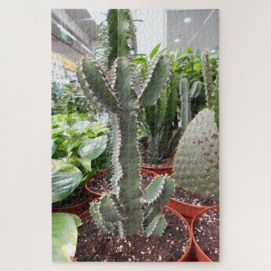 Cactus World Legpuzzel (Verticaal)