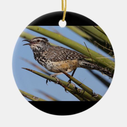 Cactus Wren Keramisch Ornament (Voorkant)