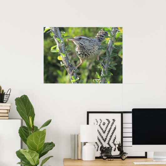 Cactus Wren sur Ocotillo Poster (Bureau à domicile)