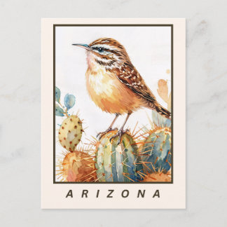 Cactus Wren Woestinvogel Arizona Staat Briefkaart