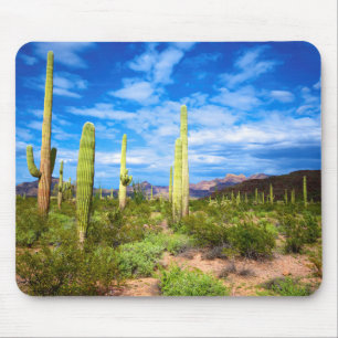 Cactuslandschap in de woestijn, Arizona Muismat