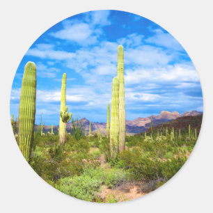 Cactuslandschap in de woestijn, Arizona Ronde Sticker