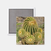 Cactusmagneet Magneet (Voorkant / Achterkant)