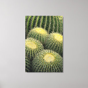 Cactuspatroon Canvas Afdruk
