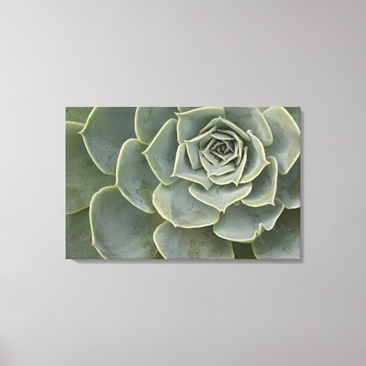 Cactuspatroon Canvas Afdruk (Voorkant)