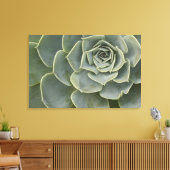 Cactuspatroon Canvas Afdruk (Insitu (Woonkamer))