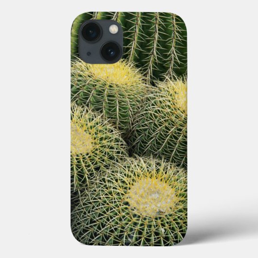 Cactuspatroon Case-Mate iPhone Case (Achterkant)