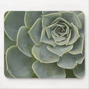Cactuspatroon Muismat