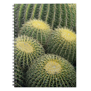 Cactuspatroon Notitieboek