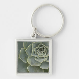 Cactuspatroon Sleutelhanger