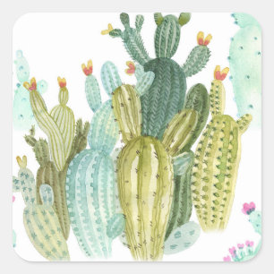  cactussen bloeiend Waterverf patroon Vierkante Sticker