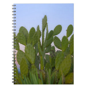 Cactussen en sisal in droge bossen notitieboek