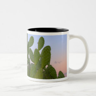 Cactussen en sisal in droge bossen tweekleurige koffiemok