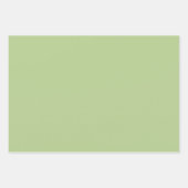 Cactussen en Succulent Wonderland Inpakpapier Vel (Voorkant 2)