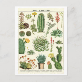  cactussen en vetplanten Botanische tekening Briefkaart