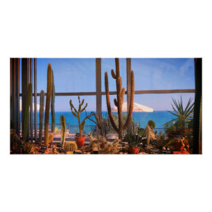 Cactussen planten en zee perfect poster