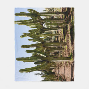 Cactussen tuin, tropisch woestijnlandschap. fleece deken