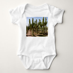Cactussen tuin, tropisch woestijnlandschap. romper