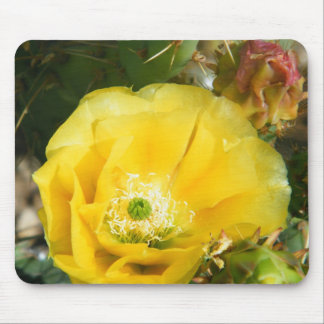 cactuusbloem muismat