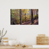 Caddo Bend Trail Bridge in Autumn Forest Poster (Cuisine)